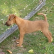 Teda, to se �ekne... Kiki