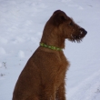 Feri  4,5 m�s�ce