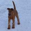 Feri 4,5 m�s�ce